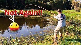 Roadside River Fishing for BLUEGILL & PANFISH!! {Catch, Clean, Cook}!!