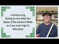 Introducing Going to the Well for Water (The Kaiser) Slide on Low and High D Whistles