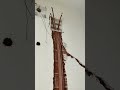 sıva ile zemindeki elektrik borularıni saklama #renovation #moderneswohnen