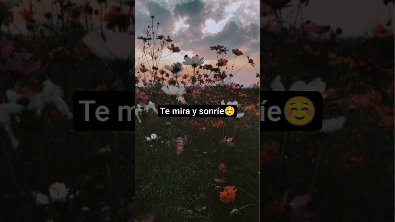 cómo saber si le gustas a alguien 