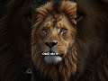 ١٦ يوليو ٢٠٢٥ ١٦ يوليو ٢٠٢٥