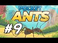 Pocket Ants - 9 - "New Update, Fusing Creatures"