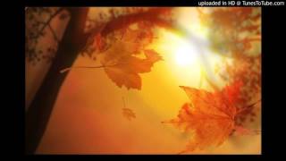 Autumn Leaves - Dee