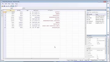 1. Stata: Main screen and multiple windows