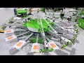 ROQ NEXT - Automatic Screen Printing Press