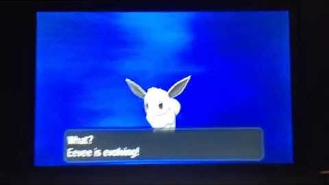 Pokemon X: Shiny Eevee evolves into Shiny Sylveon