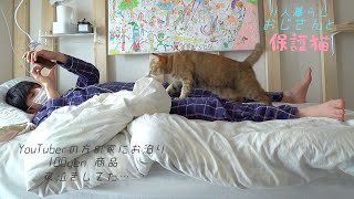 会えない時間が愛を育んだお話｜初めてのお留守番対策｜100均おもちゃ｜保護猫6歳｜#12