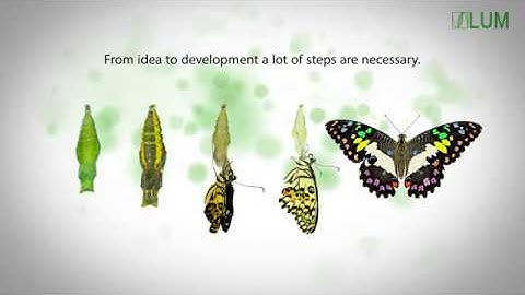 Animation: LUM Company: Dispersion Analysis and Materials Testing
