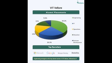 VIT Vellore Sector wise Placements