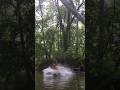 OLD GUY SHOWS UP KIDS ON RIVER ROPE SWING!!!