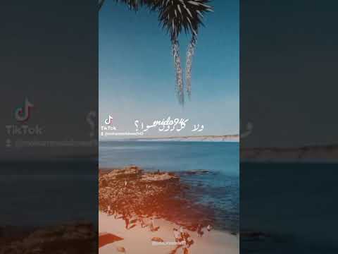 حاله حلوه مريام فارس و اسر ياسين