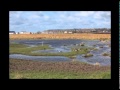 A Day in the Life of St. Ouen's Pond: Part 1 - The Scrape