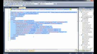 How to show a record using DetailsView in ASP.NET?