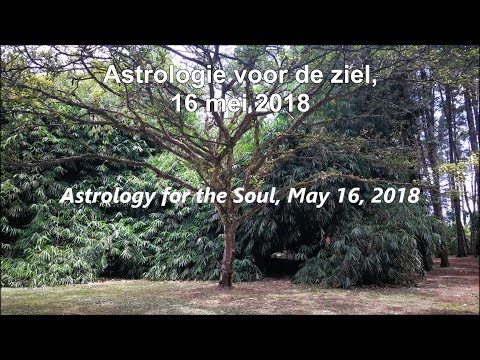 Video: Horoscoop 15 Mei