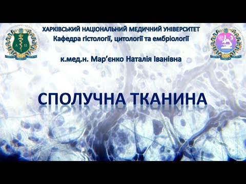 Сполучна тканина. Гістологія