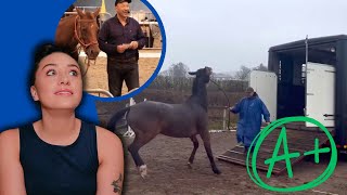 Let's Judge Horse Trainers: Steve Young Horsemanship