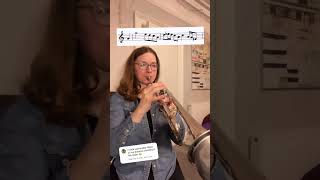 Ask and you shall receive 🎺🎶 #riffchallenge #musictranscription #gopractice