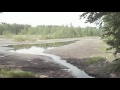 разрушенная бобровая плотина, спущенная вода из пруда