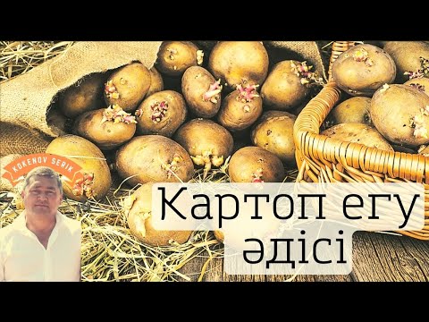 Қызының белбеуімен ұрған видеосы Әйелдердің жалаңаш денесі бейне