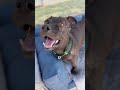 Slim Jim relaxes and enjoys a treat