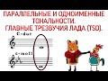 63 урок: «Параллельные и одноименные тональности. Главные трезвучия лада: TSD». Курс «Puzzle Piano»