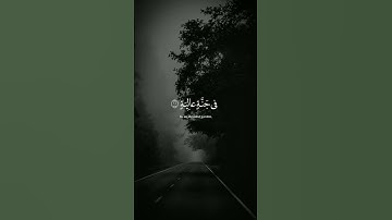 سورة الغاشية ، عبد الرحمان مسعد #سورة #الغاشية #الشيخ #القارئ#عبدالرحمن_مسعد #القرآن#المصحف#اكسبلور
