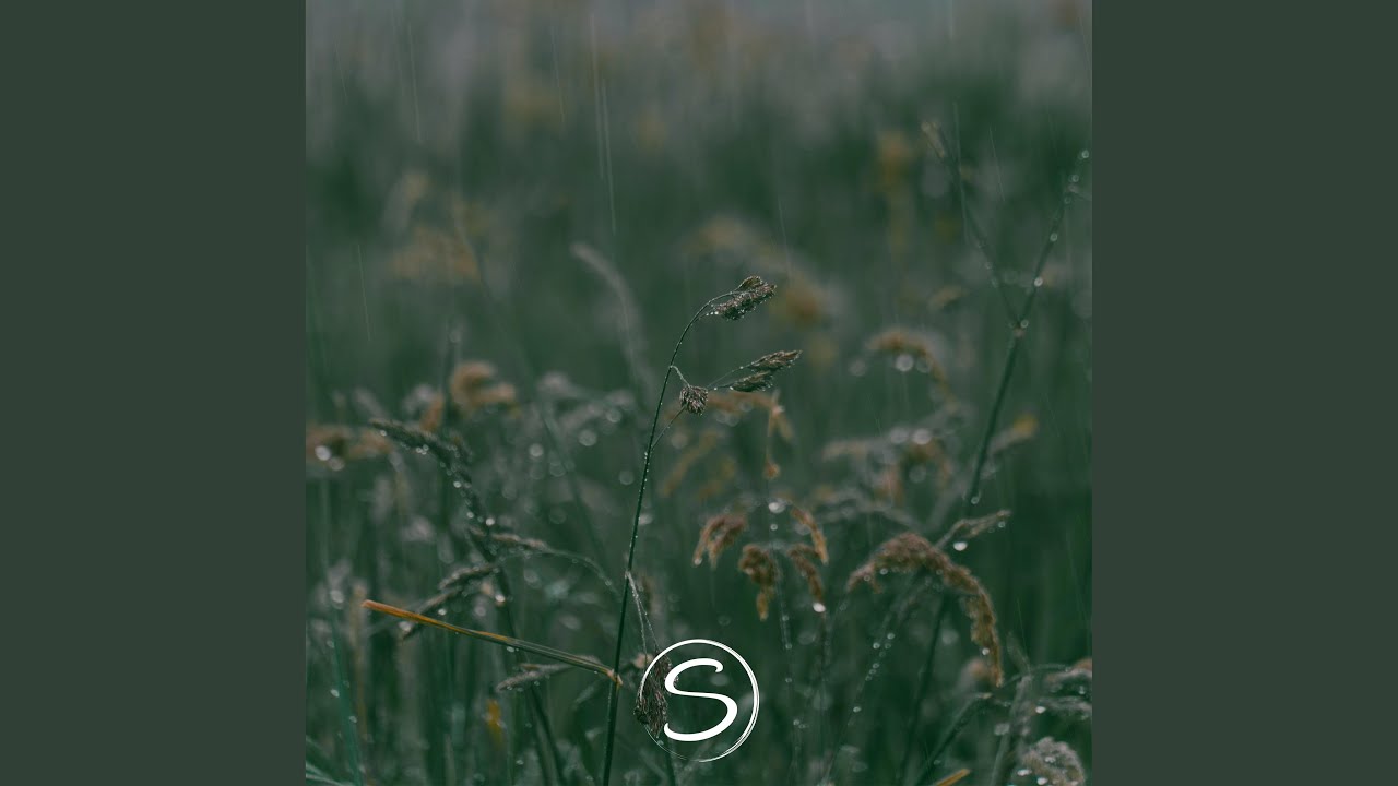 Blessings auf YouTube ansehen Blessings auf YouTube ansehen