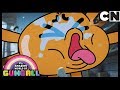 Gumball Türkçe | Perhiz | Çizgi film | Cartoon Network Türkiye