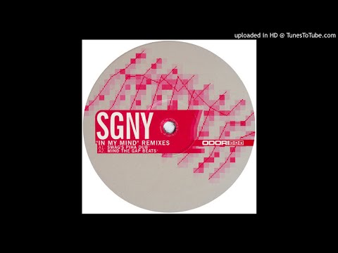 SGNY — In My Mind (Swag's Piha Dub)