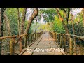 The Sundarbans - World's Largest Mangrove Forest (Tour 2021)