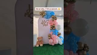 Baby Shower Balloon Decorations Blue Pink Balloon Decoration Gender Reveal Decoration