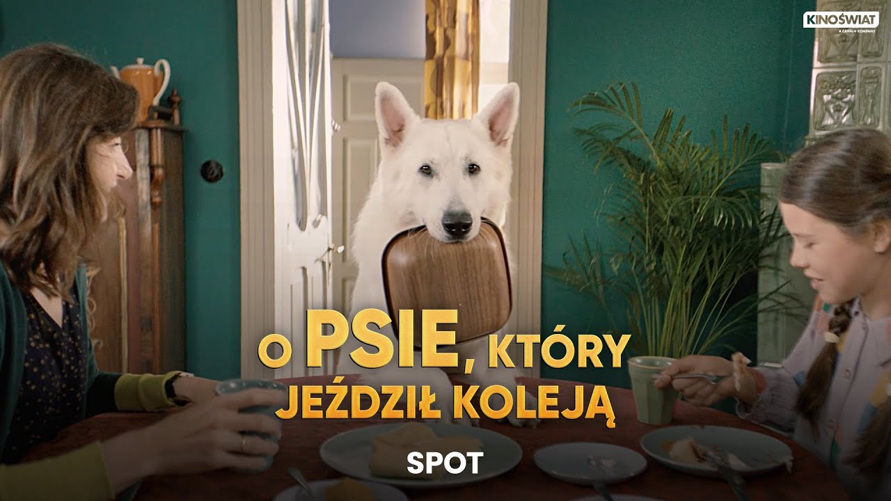 Test O Psie Który Jeździł Koleją O PSIE, KTÓRY JEŹDZIŁ KOLEJĄ | Złap pociąg do przygody! | Kino Świat