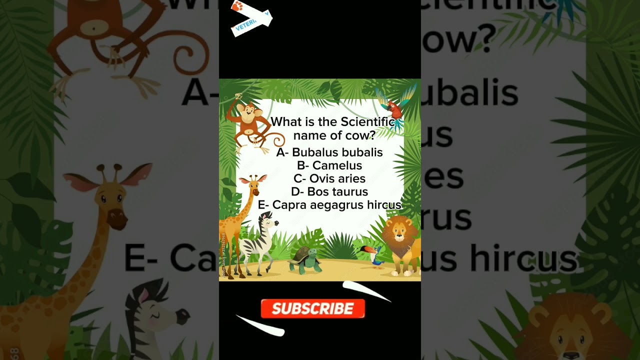 Scientific name of cow?|Vet Care|Veterinary|