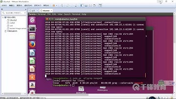 千锋Java教程：48 SpringBoot整合MongoDB