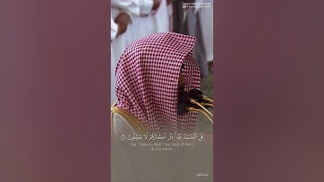 تحبير بديع لآخر سورة العنكبوت للشيخ د. عبدالله القرافي⁩