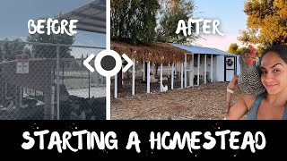 The Ultimate Dream Chicken Coop Design