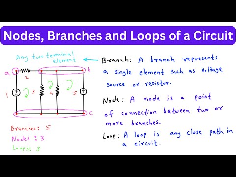 Nodes, Branches and