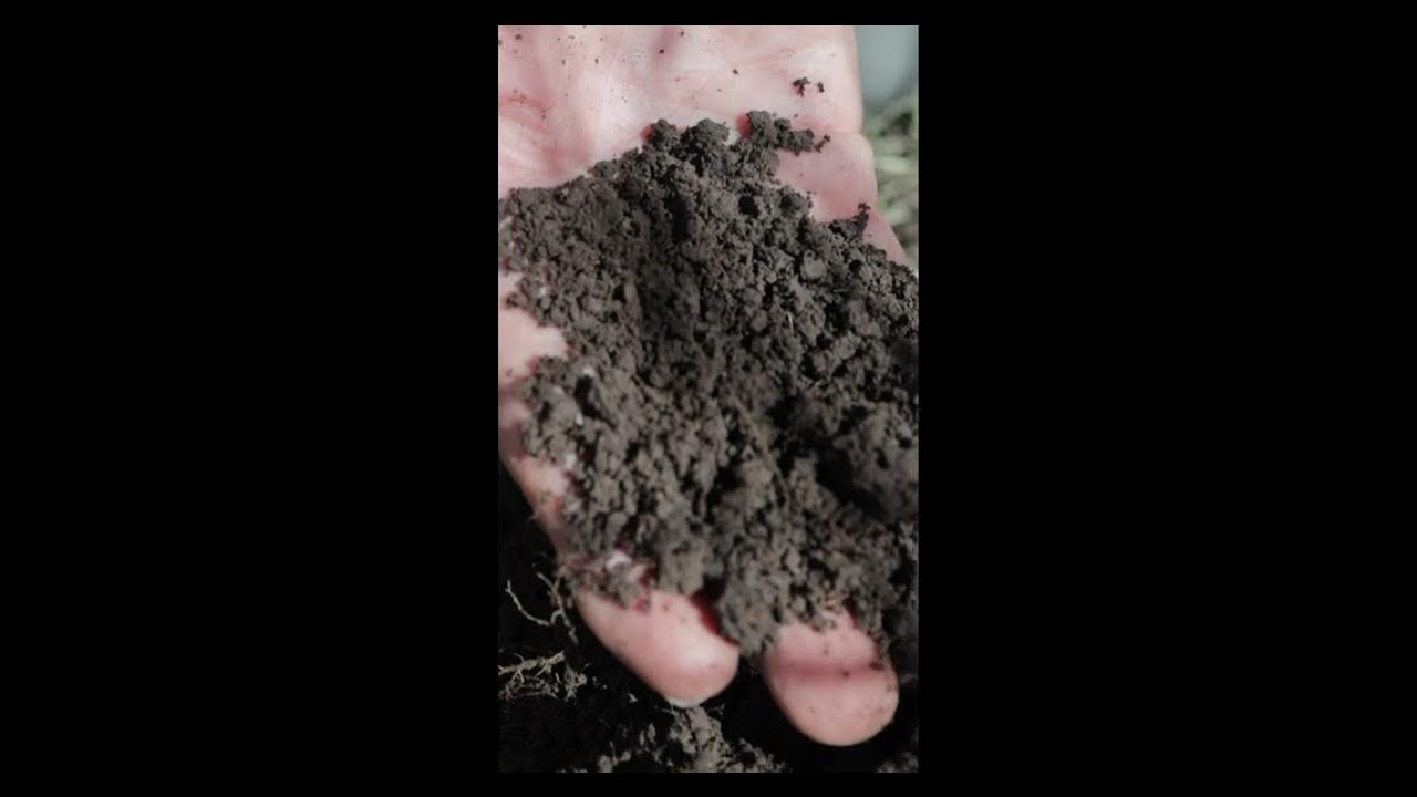 SHC 2025 gabebrown promo vertical2 YouTube