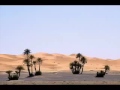 قصة ركانة علي القرني 