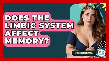 Does The Limbic System Affect Memory? - PTSD Support Channel