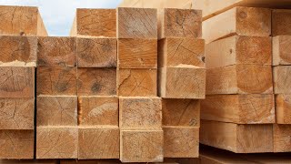 STOP!!! Wasting Lumber by Jens Davidsen 41 views 2 years ago 25 minutes