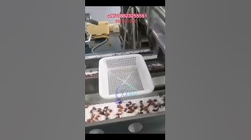 automatic shrimp sorter, #aquaculture #seafood #seafoodprocessing #fishmachine #shrimpprocessing