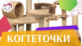Как выбрать когтеточку на ilikepet Как выбрать когтеточку на ilikepet