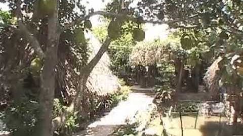 Cafe Miệt Vườn 6 (Thiện Trí, Cái Bè, Tiền Giang)