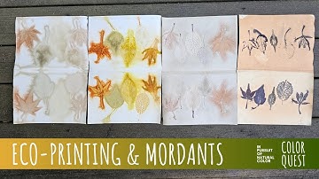 LEAF ECO-PRINTING WITH MORDANTS ON PAPER | ORGANIC COLOR | ALUM IRON TANNIN | BUNDLE STEAM PROCESS
