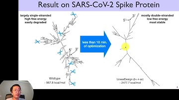 Efficient Algorithms for Optimized mRNA... - Liang Huang - COVID-19 - Poster - ISMB/ECCB 2021