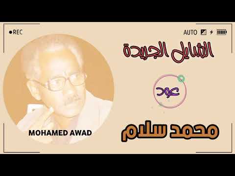 محمد سلام الشايل الجريدة 