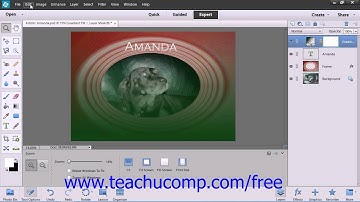Photoshop Elements 12 Tutorial Adjustment Layers & Fill Layers Adobe Training Lesson 10.10