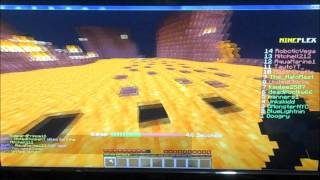 Mineplex: Level 60