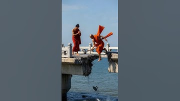 The monk who breaks the bridge dies, the large white cobra comes to the aid of the Buddha #buddha